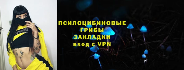 соль ск Армянск