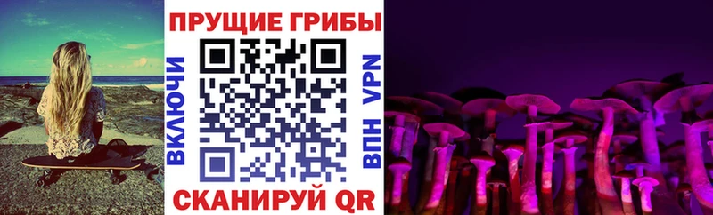 Псилоцибиновые грибы Psilocybine cubensis  omg зеркало  Ядрин 
